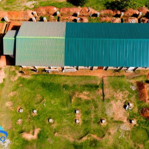 WhatsApp Image 2026-03-29 at 4.44.19 PM