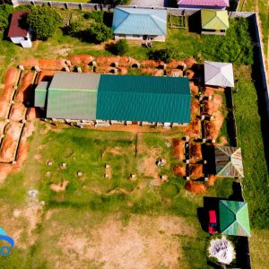 WhatsApp Image 2026-03-29 at 4.44.20 PM (1)