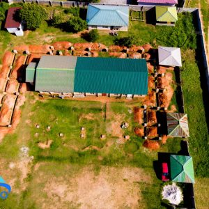 WhatsApp Image 2026-03-29 at 4.44.20 PM