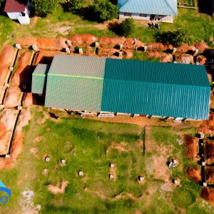 WhatsApp Image 2026-03-29 at 4.44.21 PM (1)